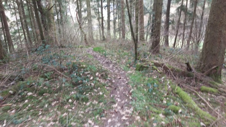 Single-Traums vom feinsten 