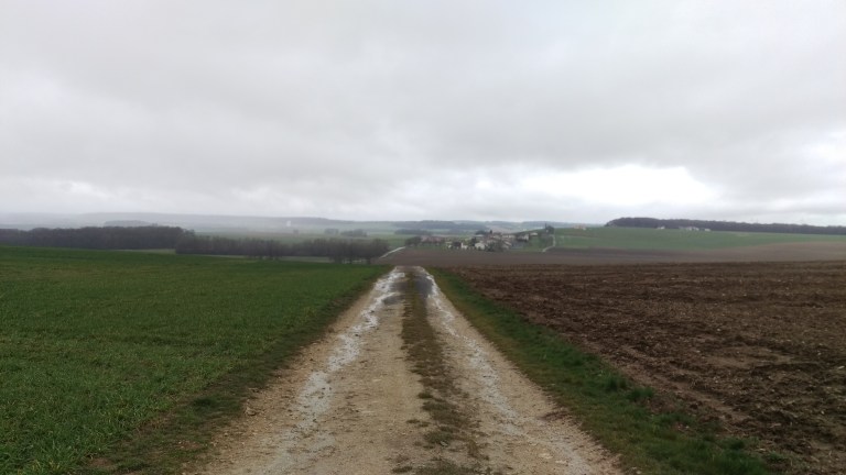 Wege heute nur zwei Handy Foto um es vor dem Dauerregen zu schützen.