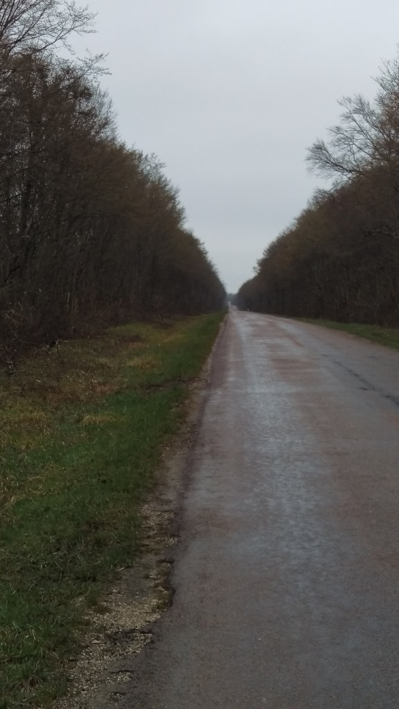Langweilige Straßen die Wollt ihr sichernicht sehen.