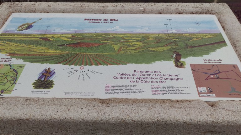 Blick über Weinberge 