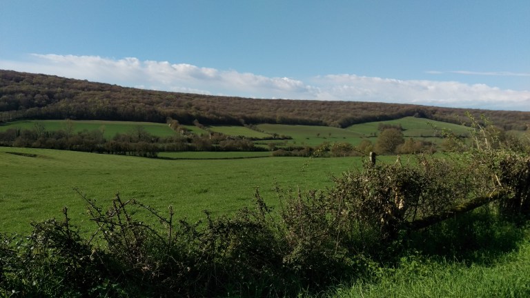 Herrlich grüne Landschaft