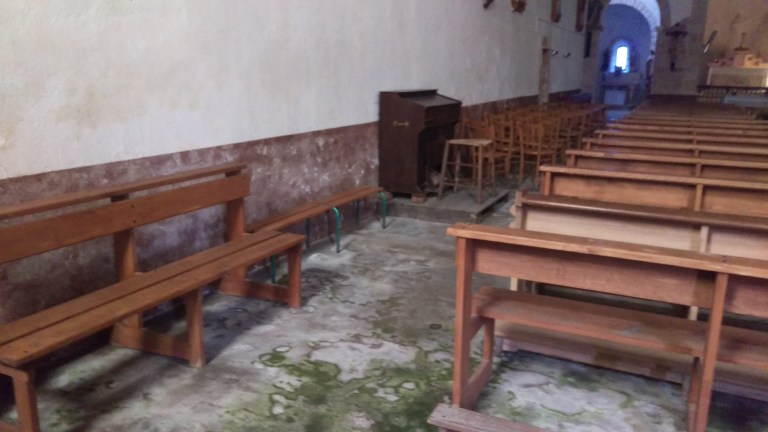 Die "Orgel" und Feuchtigkeit, da könnte eine Champignonzucht gut funktionieren 