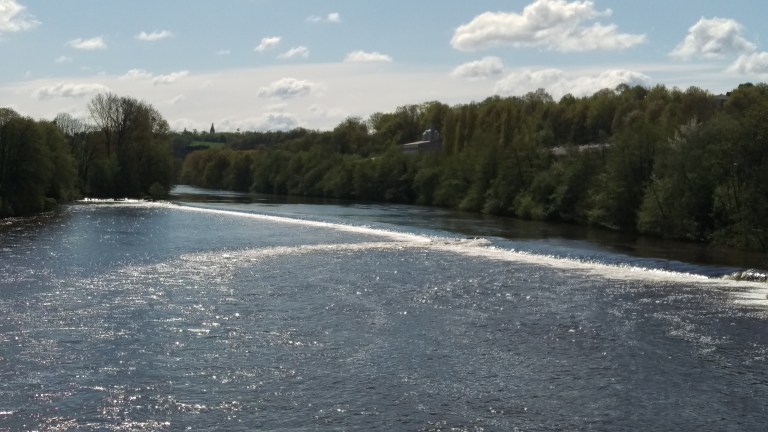 Immer wieder Teiche und Wiesen