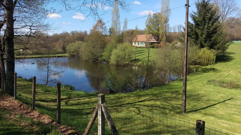 Immer wieder ein Teiche