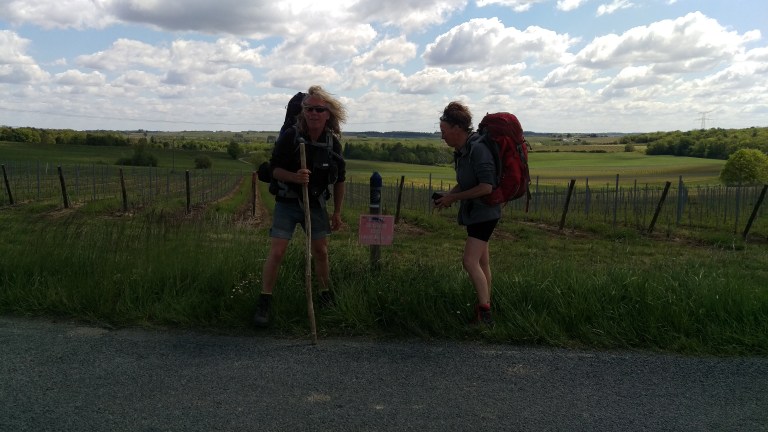 Meine zwei Begleiter heute