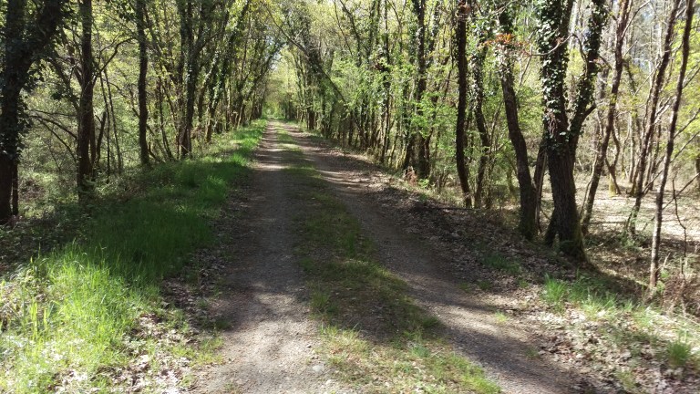 Alte Bahnstrecke jetzt für viele Kilometer mein Weg.
