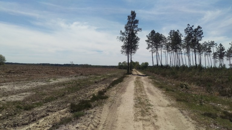 Nochmal Landschaft 