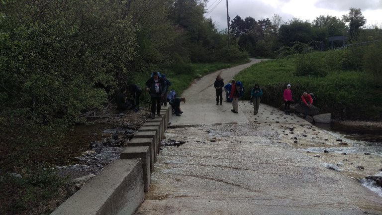 Nochmal Bachmuss mal in einem Film auftauchen?
