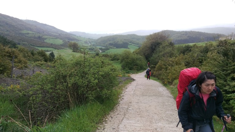 Wege gepflastert mit Naturstein!!