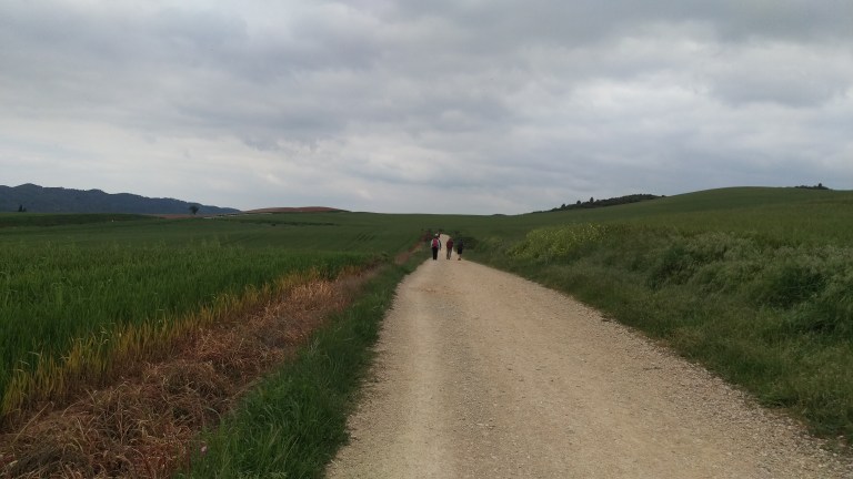 Eben mit langen wegen ohne Schatten 