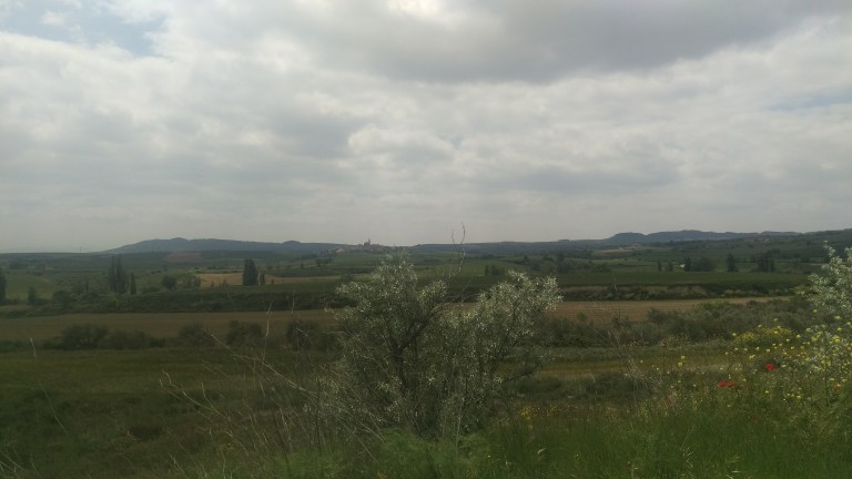 Weite Landschaft 