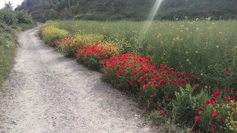 Ein Blumengruß aus der La Rioja 
