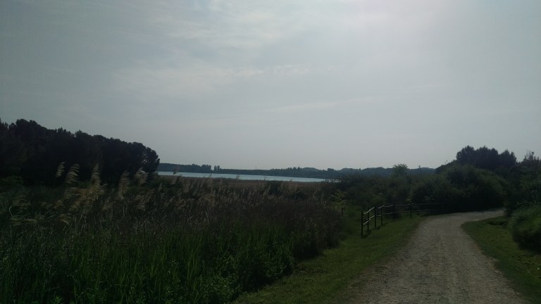 Landschaft mit Stausee 