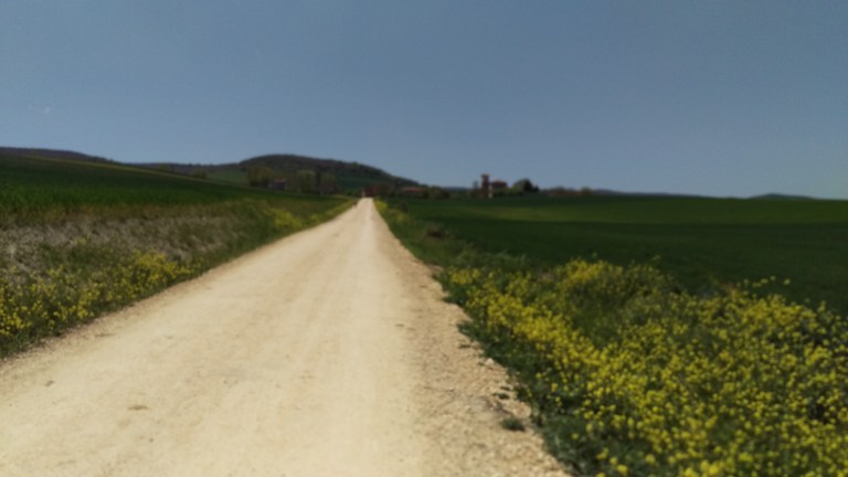 Dieses Bild ist von 14.24Uhr! Sehr ihr da noch Pilger? Ab 13.00Uhr siehst du fast keine Mehr!