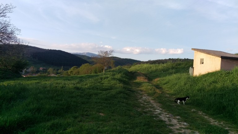 Morgen Stimmung Monte de Oca