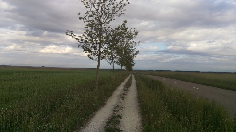 Wanderwege mit Baumallee 