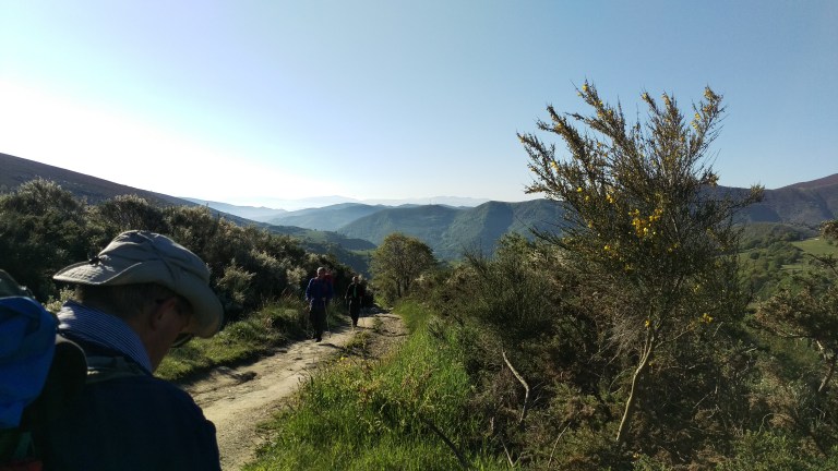Landschaft am Morgen 