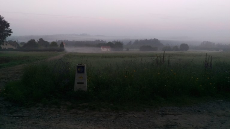Morgennebel