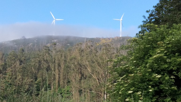 Nebel und Landschaft 