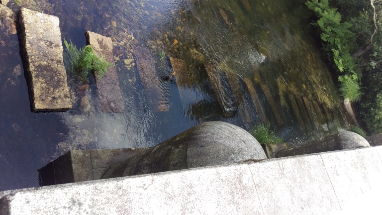 Über diese Trittsteine ging es vor der Brücke durch das Wasser